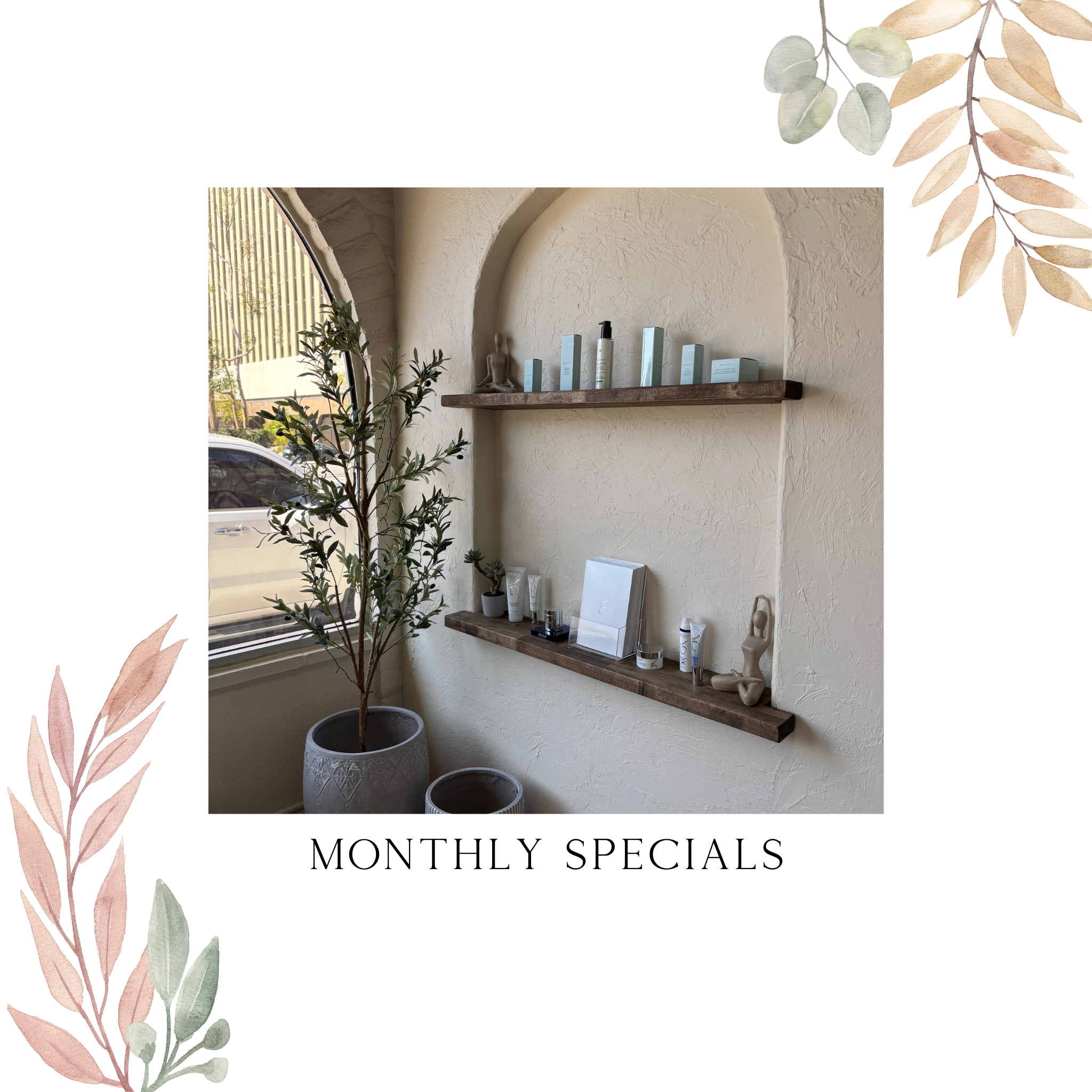 Monthly Specials